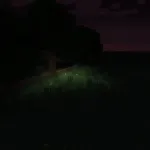 Новое освещение из текстурпака Darker Darkness