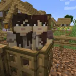 Новые девушки из текстурпака Human Villagers Fantasy Races