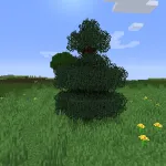 Новая ель из текстурпака Brunozamp's Foliage