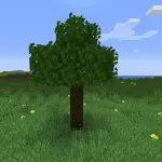 Новая листва из текстурпака Brunozamp's Foliage