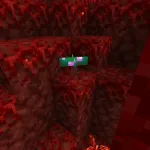 Новый гриб из текстурпака Jadens Nether Expansion
