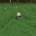 Новая пятнистая свинья из текстурпака More Pig Variants