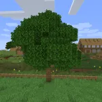 Новый дуб из текстурпака Abnormals Bushy Leaves