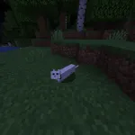 Кошка сворачивается в хлебную булочку с модом Cat Loaf