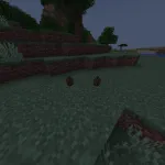 Шишки из мода This Rocks