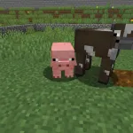 Новая свинья из текстурпака Detailed Mobs