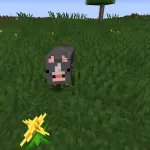 Новая свинья из текстурпака Renewed Animal