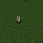 Новый кролик из текстурпака Renewed Animal