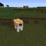 Новая корова из текстурпака Renewed Animal