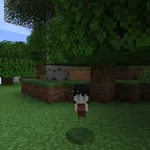 Новая пчела из текстурпака Bee Girl