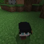 Новый моб из текстурпака Bee Girl