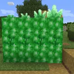 Части изумрудной жеоды