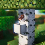 Вид со стороны