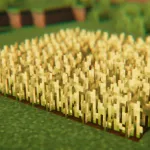 Применение мода