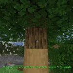 Переключатель функций