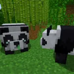 Белая панда