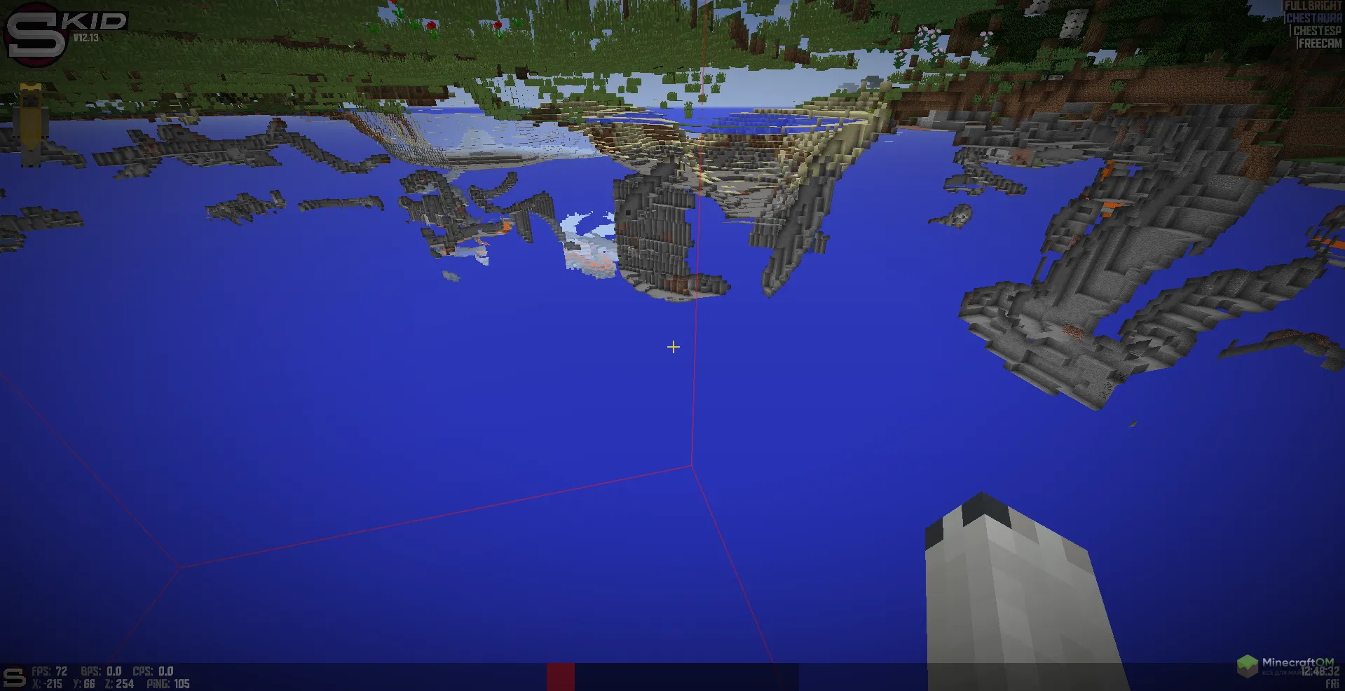 Одна из функций чита Skid