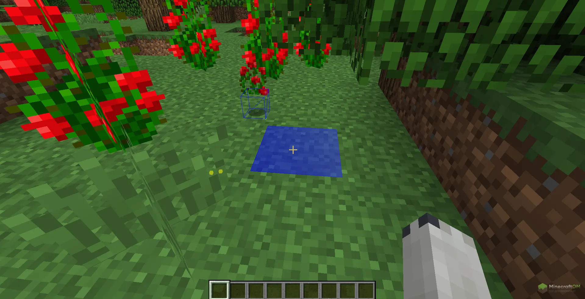 Функция подсвечивания предметов и блоков чита Temple