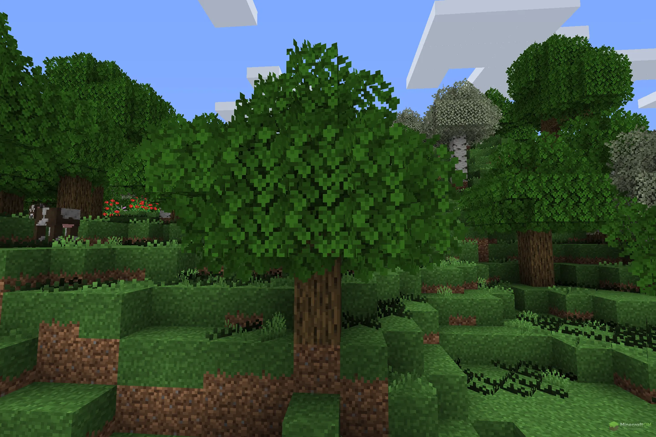 Новый дуб из текстурпака Nature V