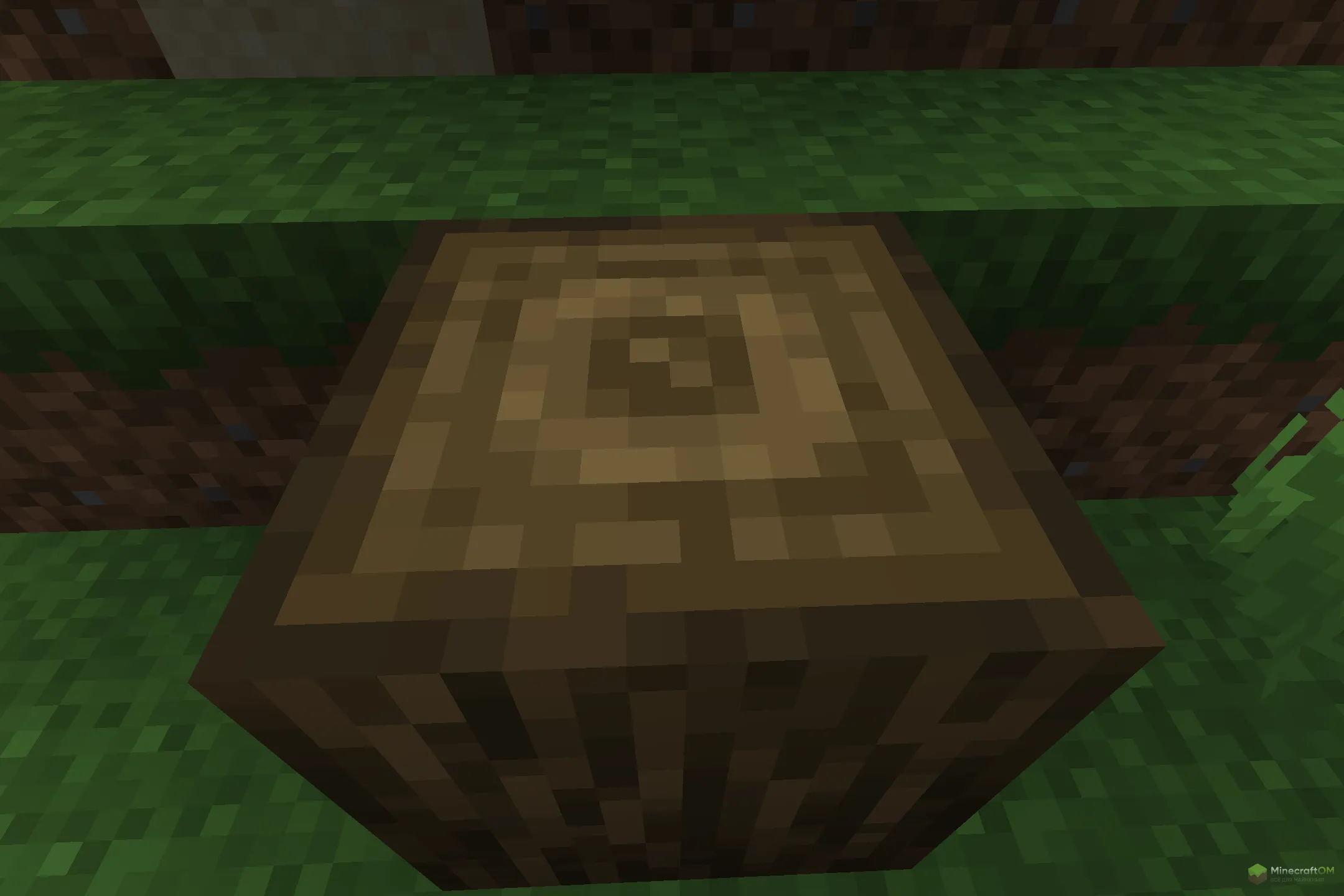 Новый дуб из текстурпака Evolved Pack