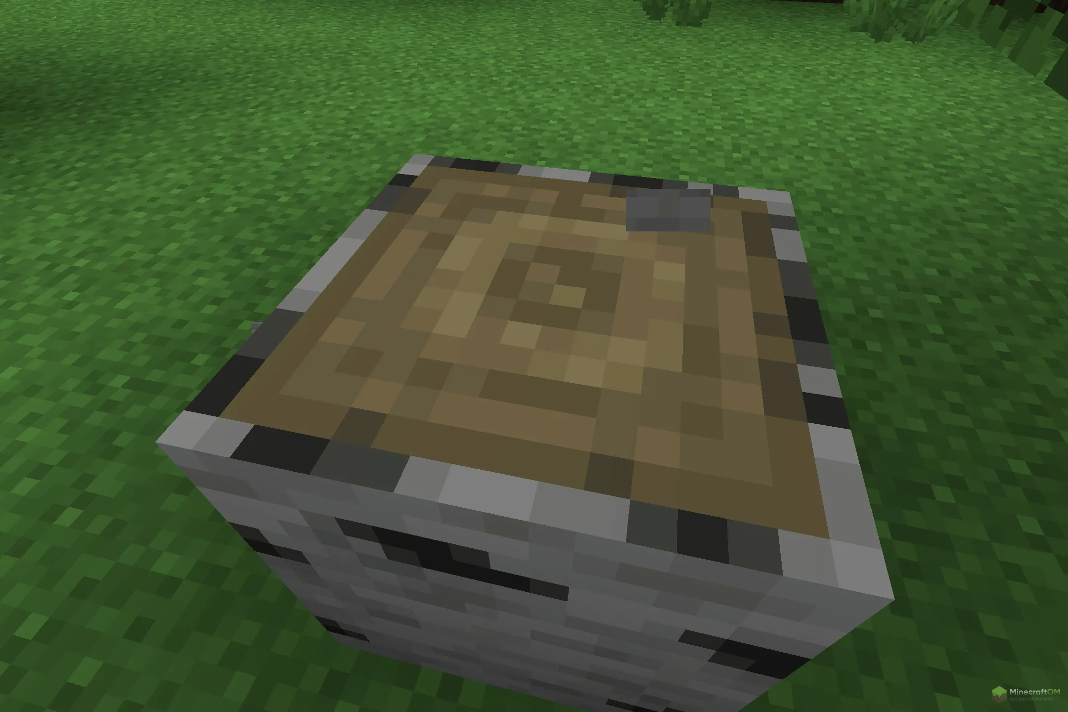 Новая береза из текстурпака Evolved Pack