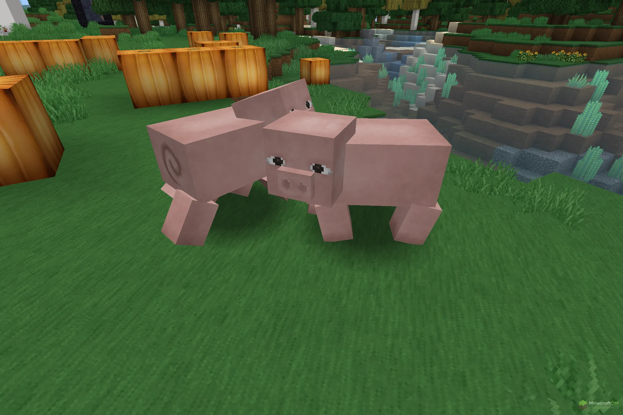 Новая свинья из текстурпака Soartex Grove