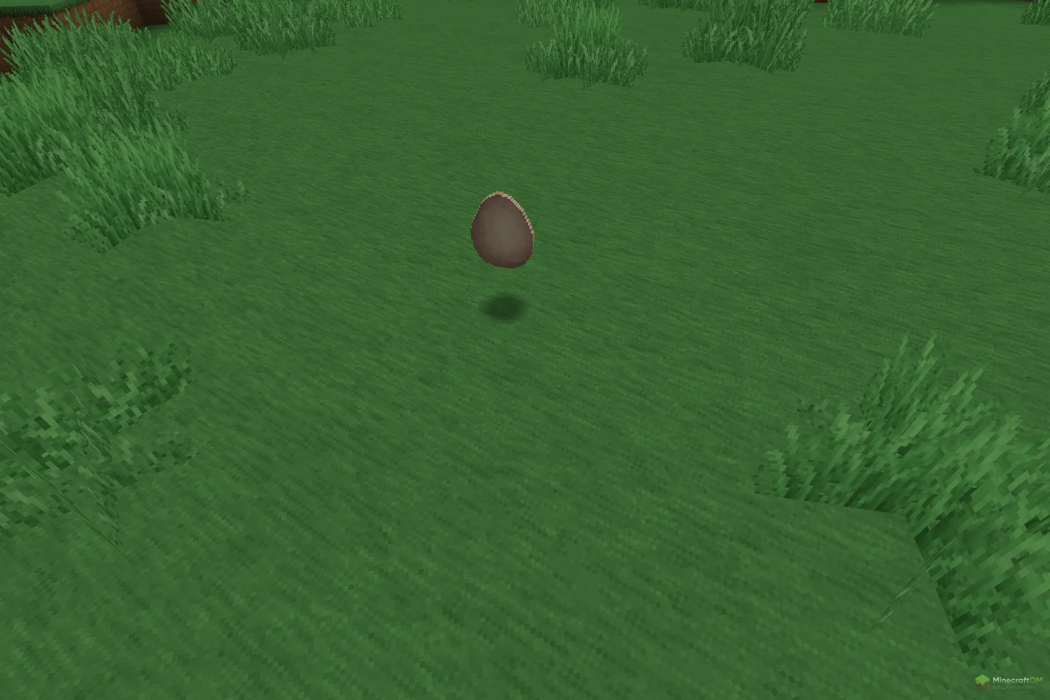 Новое яйцо из текстурпака Soartex Grove