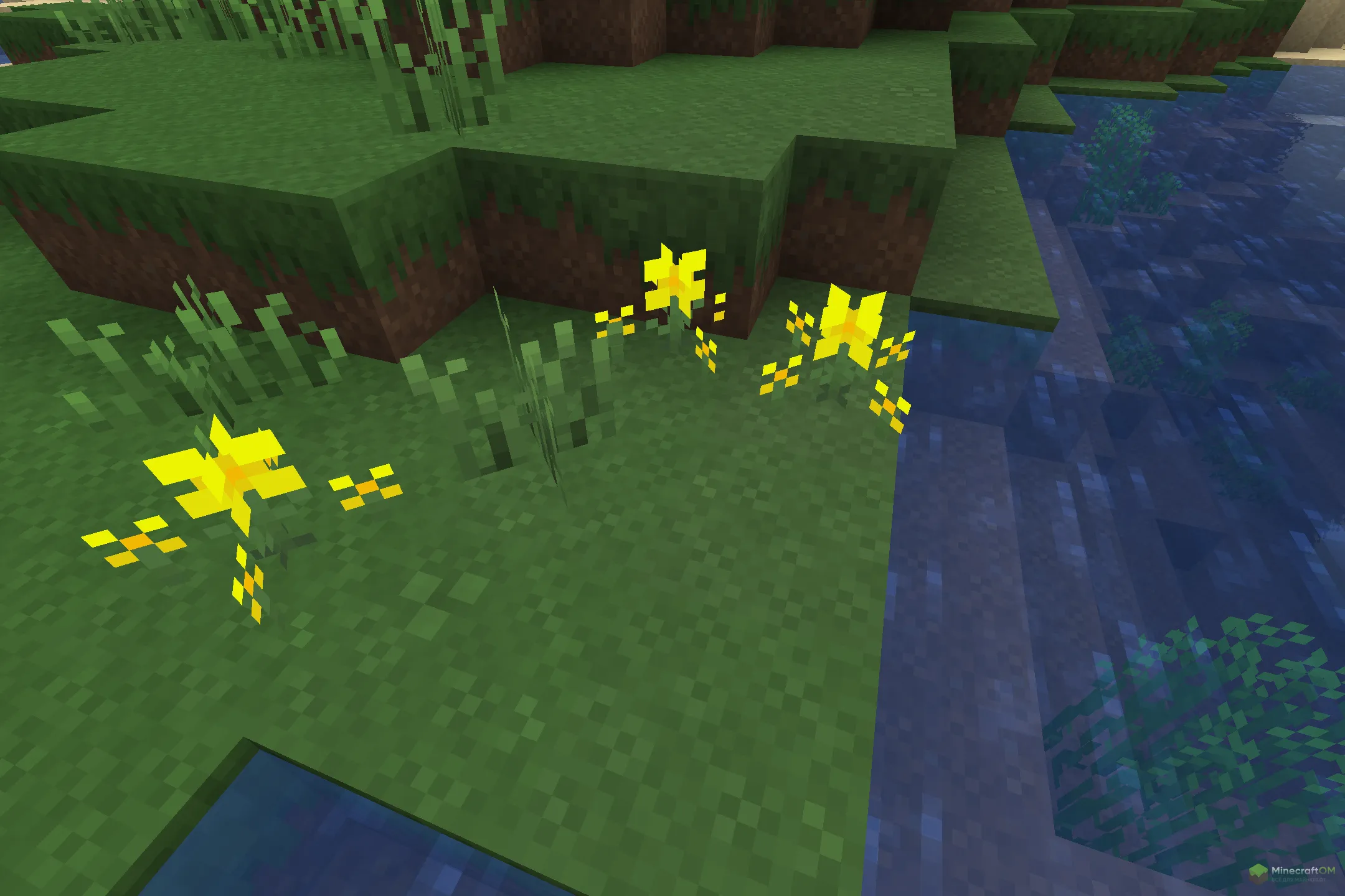 Новые цветы из текстурпака Squareful