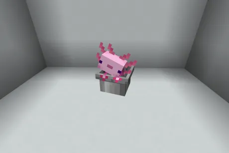 Новый аксолотль из текстурпака Alittl Axolotl and Friends Animated 3D bucket friends