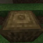 Новый дуб из текстурпака Evolved Pack