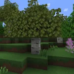 Новая береза из текстурпака Squareful