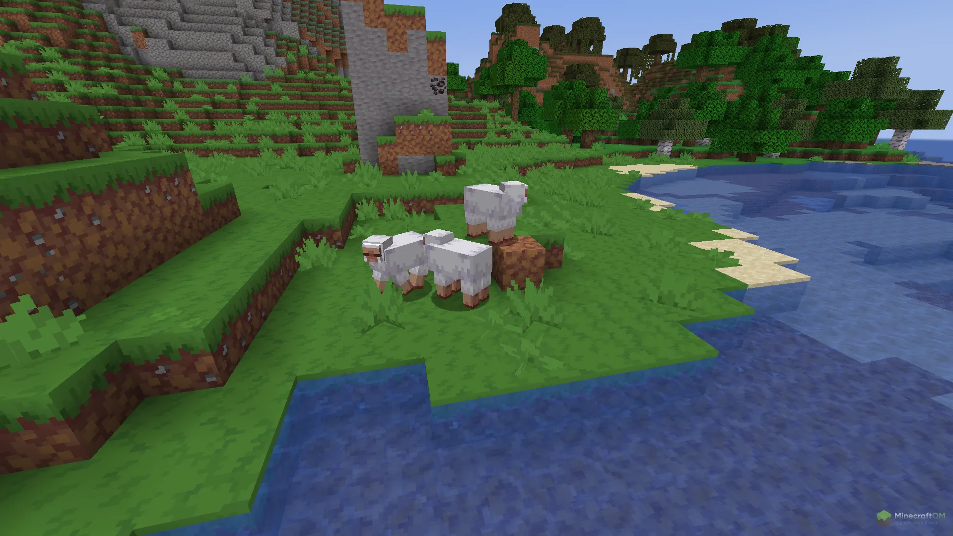 Новые овцы из текстурпака Vividity