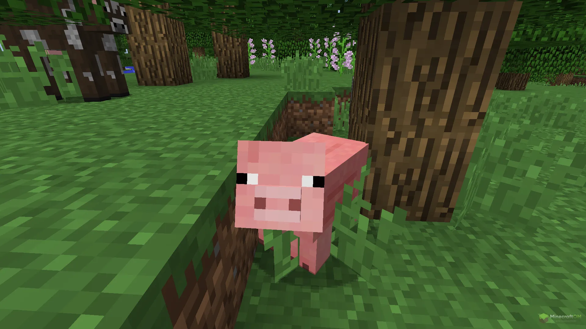 Новая свинья из текстурпака Old Default