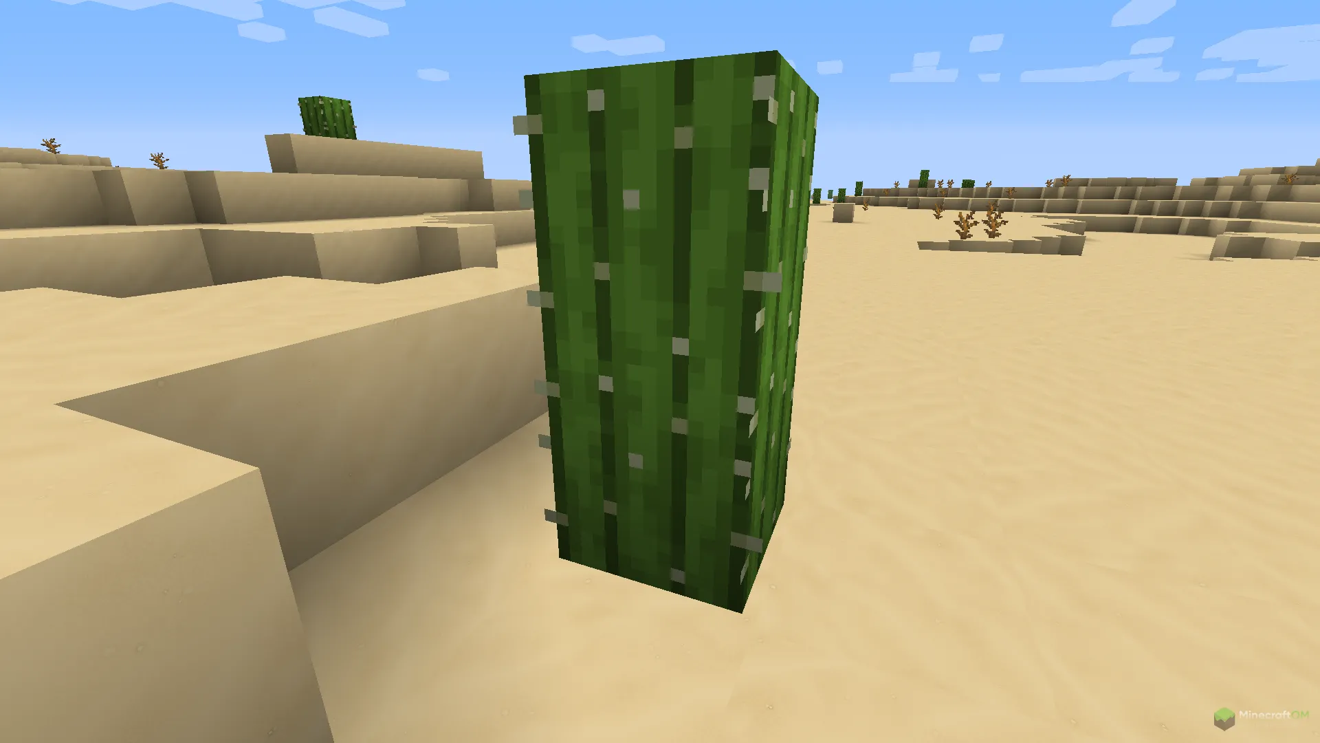 Новый кактус из текстурпака NAPP