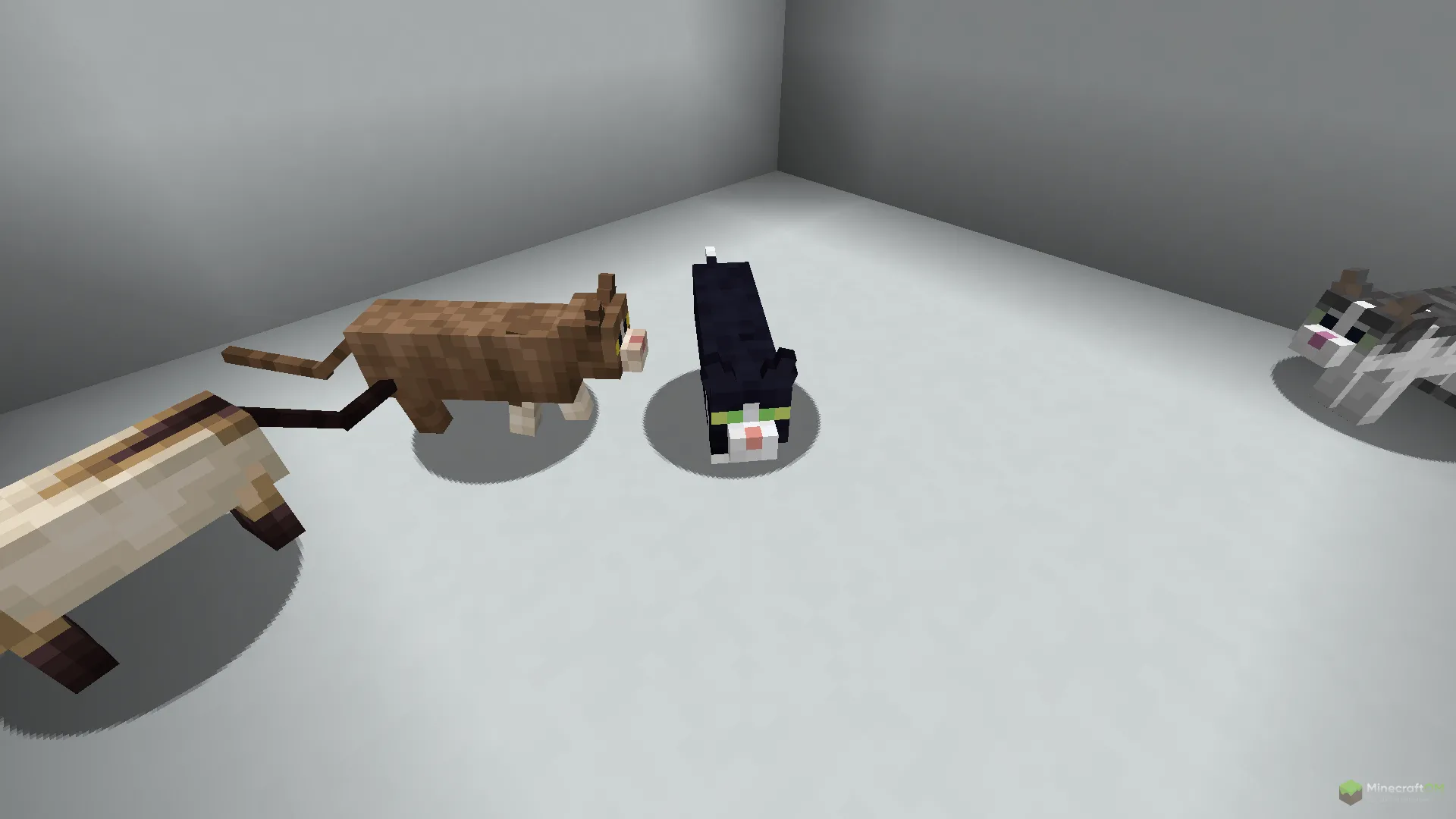 Новые кошки из текстурпака Meow Society