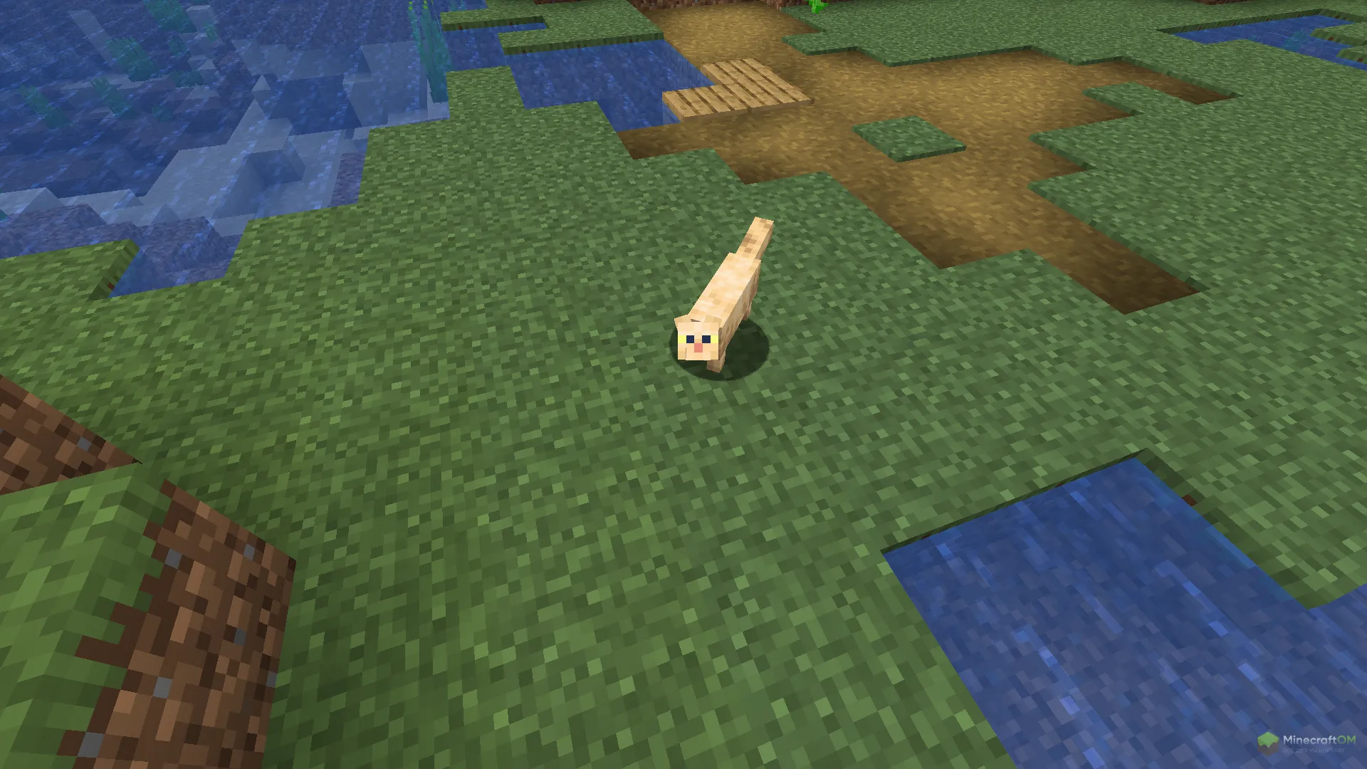 Новая светлая кошка из текстурпака Meow Society