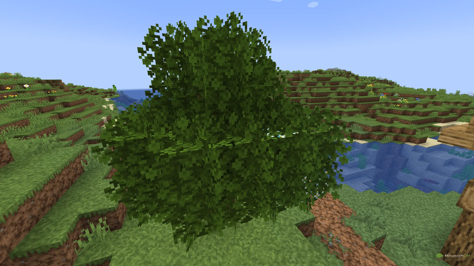 Новое дерево из текстурпака JermsyBoys Vanilla Edits