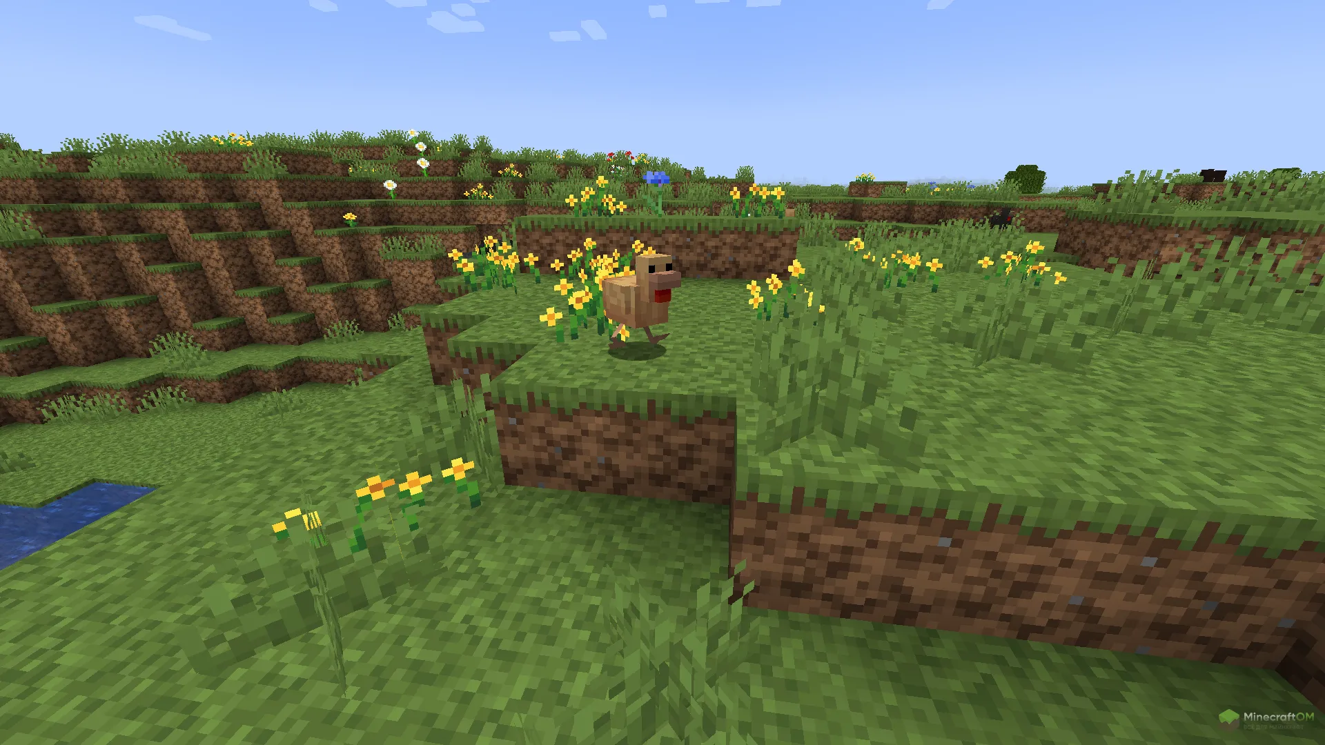 Новая курица из текстурпака JermsyBoys Vanilla Edits