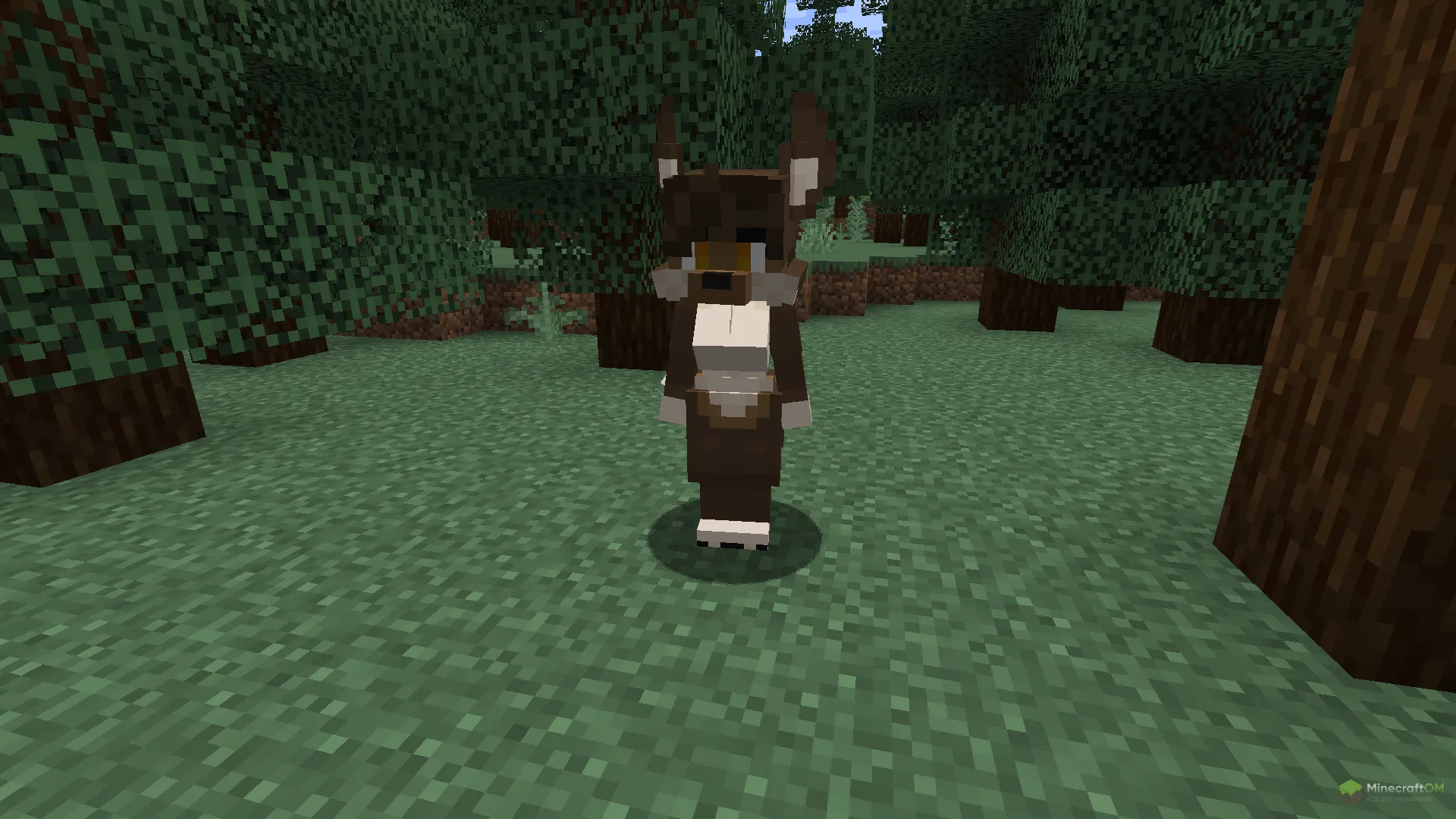 Новый волк из текстурпака Wolf Girl