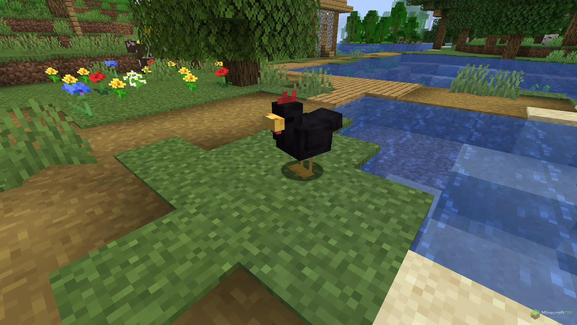 Новая черная курица из текстурпака Cluckier Chickens