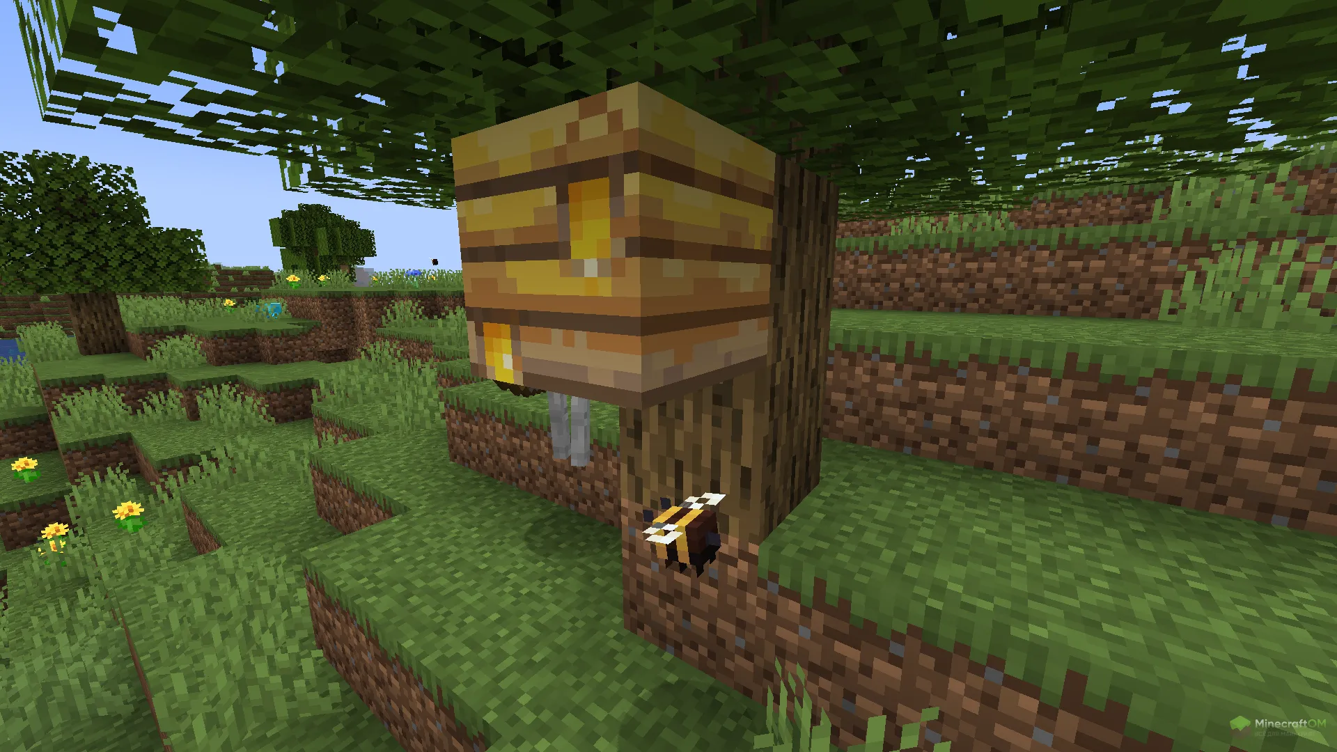 Новый мед из текстурпака Bees Reimagined