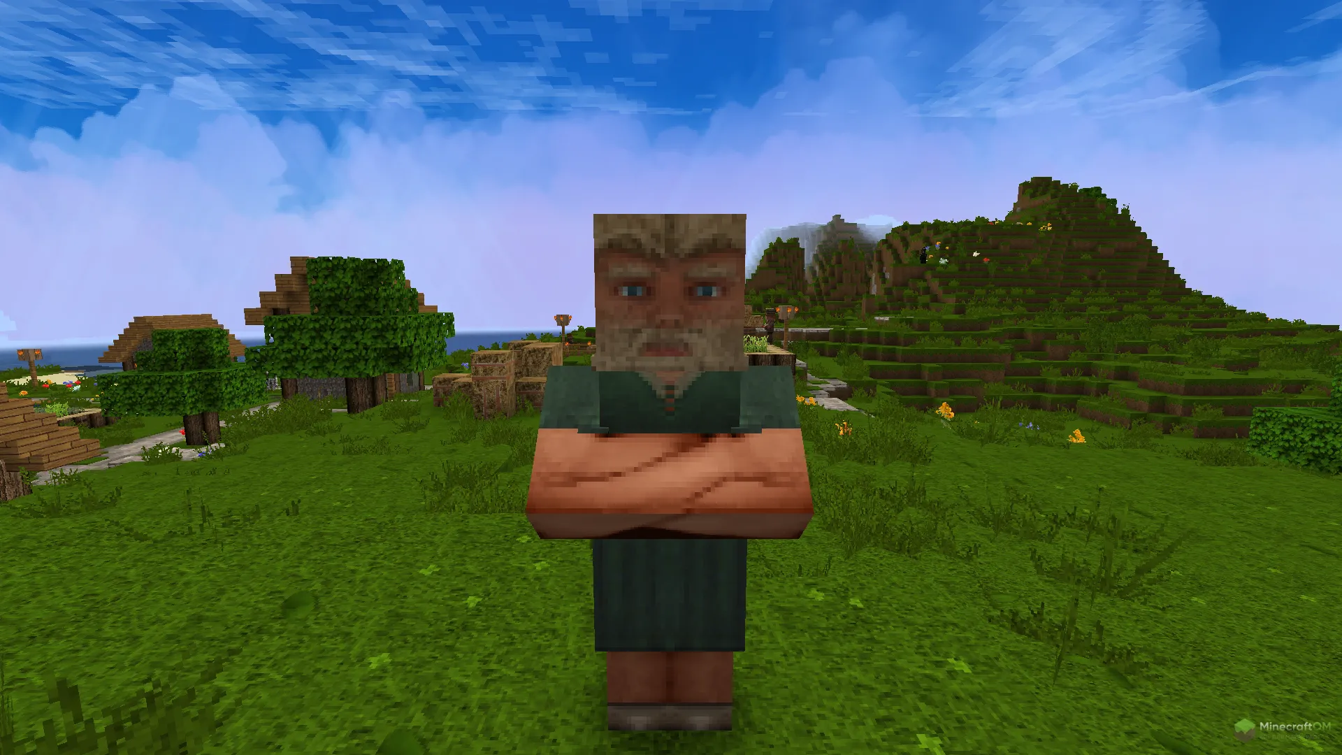 Новый житель из текстурпака Karmorakcraft