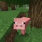 Новая свинья из текстурпака Old Default