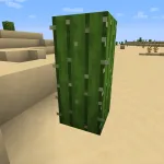 Новый кактус из текстурпака NAPP