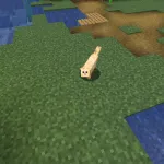 Новая светлая кошка из текстурпака Meow Society