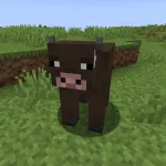 Новая корова из текстурпака JermsyBoys Vanilla Edits