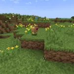 Новая курица из текстурпака JermsyBoys Vanilla Edits