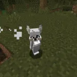Новый белый волчонок из текстурпака Wolf Girl