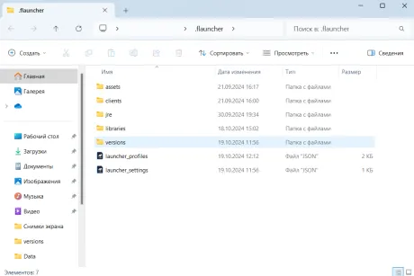 Где находится папка versions