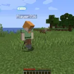 Функция Freecam чита NEWLIGHT